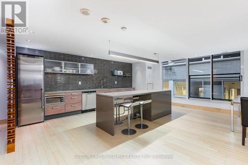 713 - 205 Frederick Street, Toronto, ON - Indoor Photo Showing Kitchen