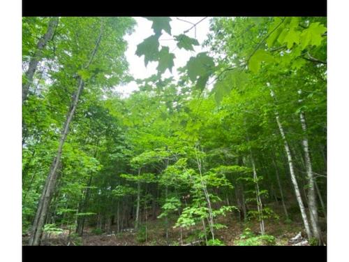 Land/Lot - Route 125, Sainte-Julienne, QC 