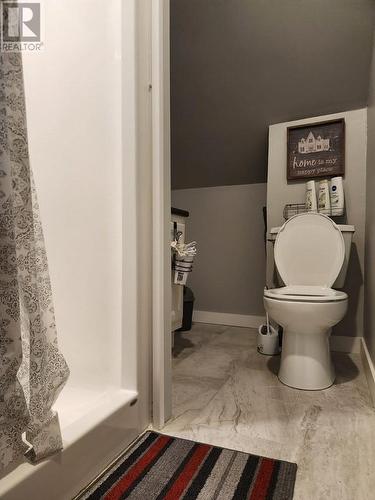 365 Ontario Street, Sudbury, ON - Indoor Photo Showing Bathroom