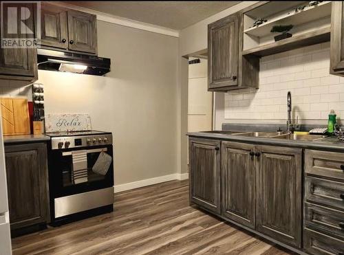 365 Ontario Street, Sudbury, ON - Indoor Photo Showing Kitchen With Double Sink