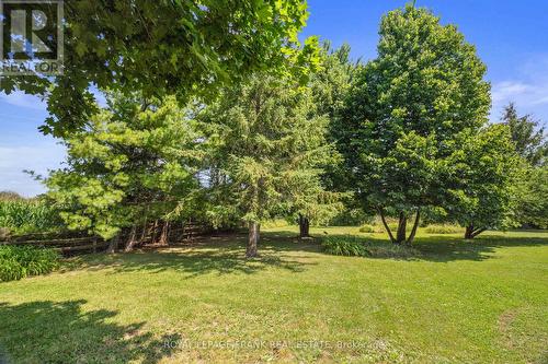 B1695 Highway 48 E, Brock (Beaverton), ON - Outdoor With View