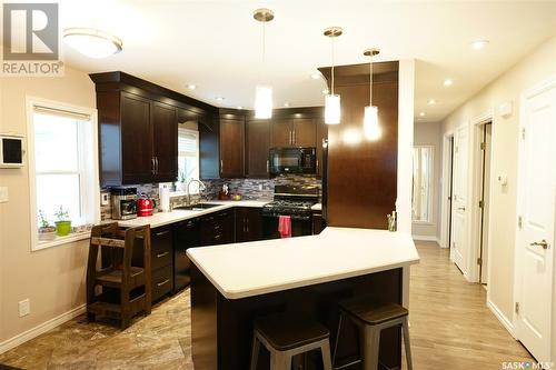 214 Halifax Street N, Regina, SK - Indoor Photo Showing Kitchen With Upgraded Kitchen