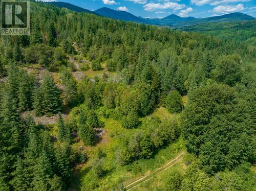 3150 Hanna Creek Road, Warfield, BC - Outdoor With View