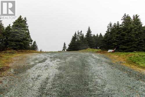 19-21 Bradbury'S Lane, Torbay, NL - Outdoor With View