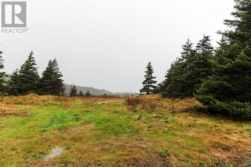 19-21 Bradbury'S Lane, Torbay, NL - Outdoor With View