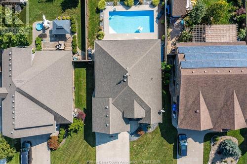 53 Hilton Court, Amherstburg, ON - Outdoor With In Ground Pool