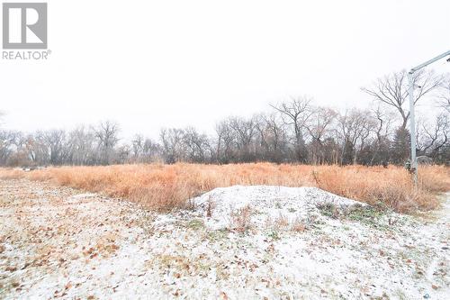 Wilkinson, Wallace Rm No. 243, SK - Outdoor With View