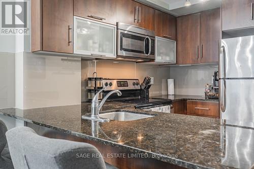 210 - 59 East Liberty Street, Toronto, ON - Indoor Photo Showing Kitchen With Stainless Steel Kitchen With Upgraded Kitchen