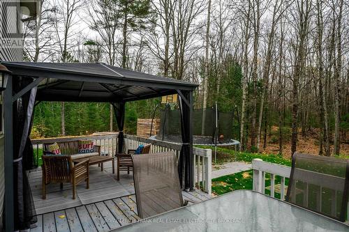 813 Centre Dummer Road, Douro-Dummer, ON - Outdoor With Deck Patio Veranda With Exterior