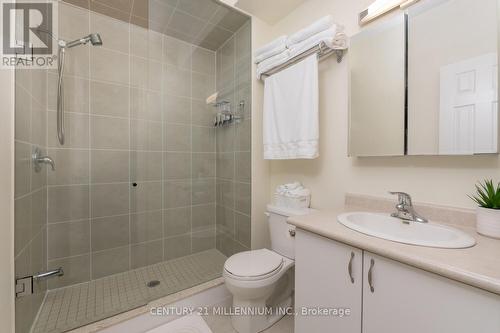 51 - 180 Howden Boulevard N, Brampton, ON - Indoor Photo Showing Bathroom