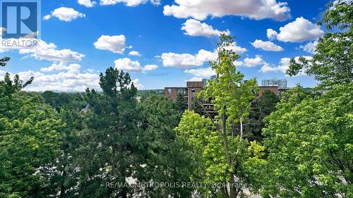 357 - 16B Elgin Street, Markham, ON - Outdoor With View