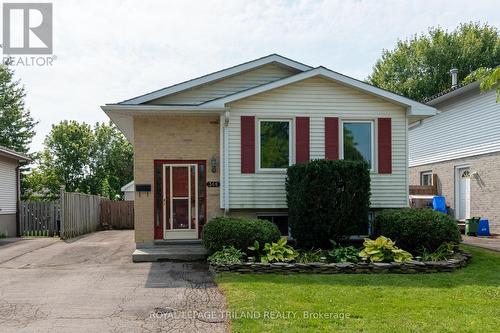 368 Ardsley Crescent, London, ON - Outdoor