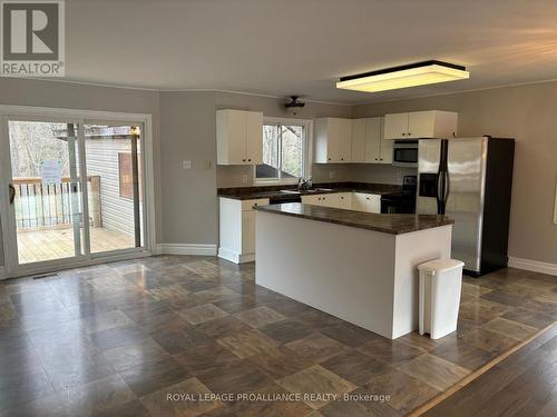 175 Northern Avenue, Galway-Cavendish And Harvey, ON - Indoor Photo Showing Kitchen