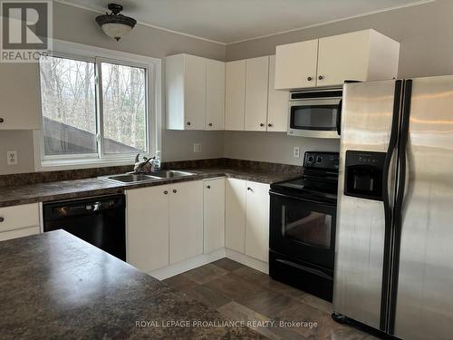 175 Northern Avenue, Galway-Cavendish And Harvey, ON - Indoor Photo Showing Kitchen With Double Sink