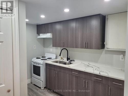 Bsmt - 17 Renny Crescent, London, ON - Indoor Photo Showing Kitchen With Double Sink