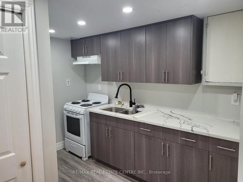 Bsmt - 17 Renny Crescent, London, ON - Indoor Photo Showing Kitchen With Double Sink