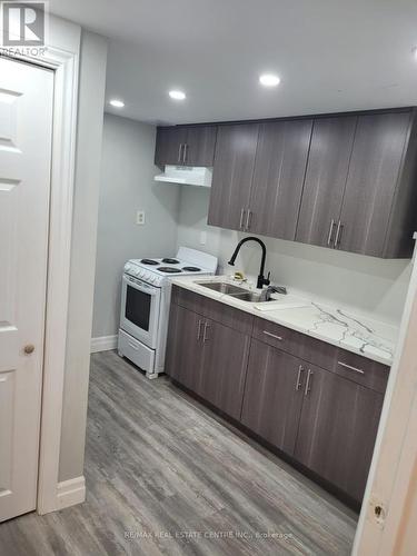 Bsmt - 17 Renny Crescent, London, ON - Indoor Photo Showing Kitchen With Double Sink