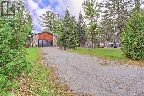 177 Hedge Road, Georgina, ON - Outdoor