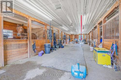 246044 County Rd 16 Road, Mono, ON - Indoor