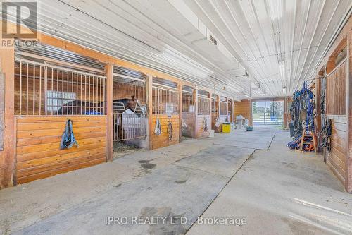 246044 County Rd 16 Road, Mono, ON - Indoor Photo Showing Garage