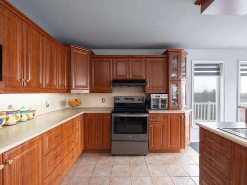 Kitchen - 52 Ch. Du Lac-Charest, Grenville-Sur-La-Rouge, QC - Indoor Photo Showing Kitchen With Double Sink