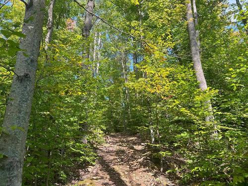 Land/Lot - Ch. De La Montagne, Sainte-Adèle, QC 