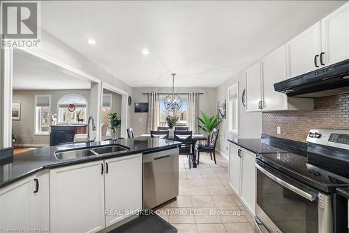 227 Mcnichol Drive, Cambridge, ON - Indoor Photo Showing Kitchen With Double Sink