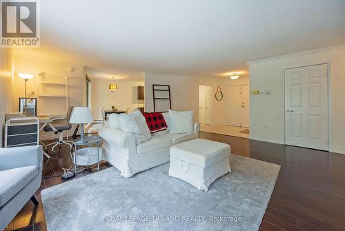 303 - 500 Talbot Street, London, ON - Indoor Photo Showing Living Room