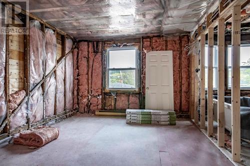 296 Lemarchant Road, St. John'S, NL - Indoor Photo Showing Basement