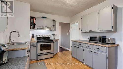 366 Edmonton Street, London, ON - Indoor Photo Showing Kitchen