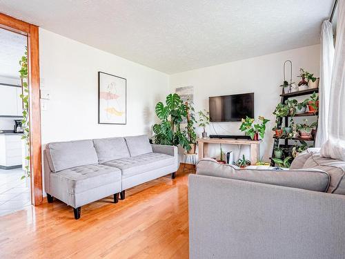 Salon - 244 Rue Lachapelle, Sherbrooke (Fleurimont), QC - Indoor Photo Showing Living Room