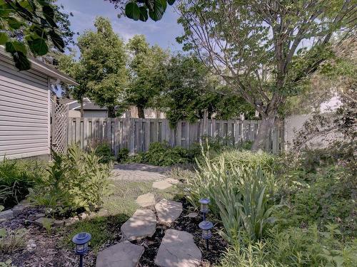 Backyard - 1479 Rue Albert, Longueuil (Saint-Hubert), QC - Outdoor