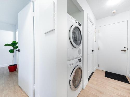 Passageway - 214-40 Av. Du Rhône, Saint-Lambert, QC - Indoor Photo Showing Laundry Room