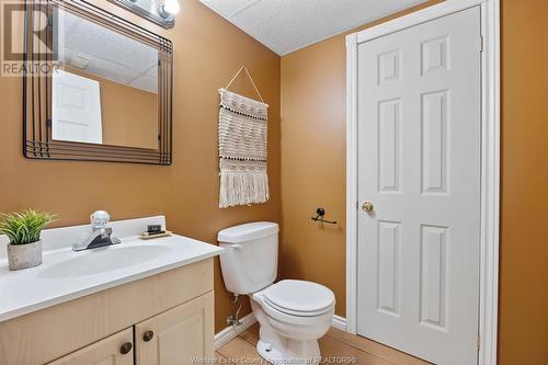 998 Fielding Court, Windsor, ON - Indoor Photo Showing Bathroom