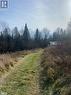 View of road featuring a rural view - 2828 Fire Route 72 Route, North Kawartha Twp, ON 