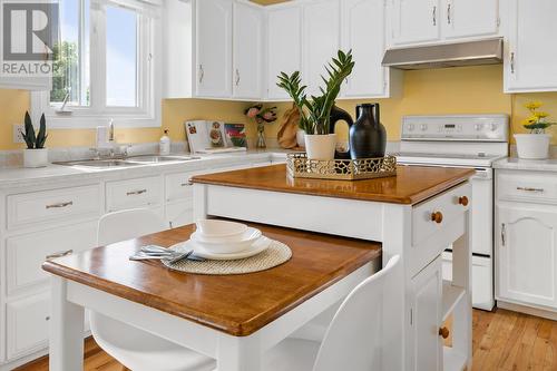 9 Darrach Street, Charlottetown, PE - Indoor Photo Showing Kitchen With Double Sink