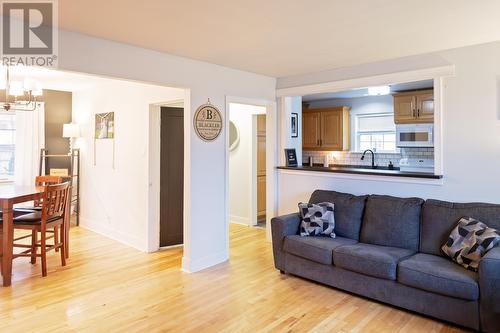 20 Bowes Street, Gander, NL - Indoor Photo Showing Living Room