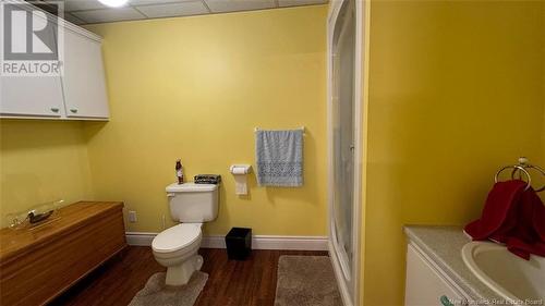 5 Ryan Lane, Grand-Sault/Grand Falls, NB - Indoor Photo Showing Bathroom