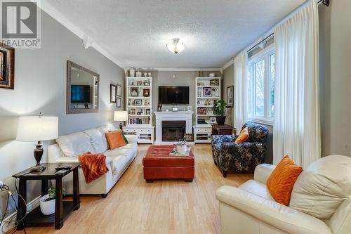 12 Crosbie Road, Harbour Grace, NL - Indoor Photo Showing Living Room With Fireplace