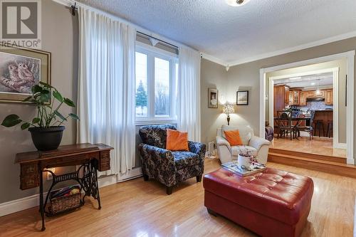 12 Crosbie Road, Harbour Grace, NL - Indoor Photo Showing Living Room