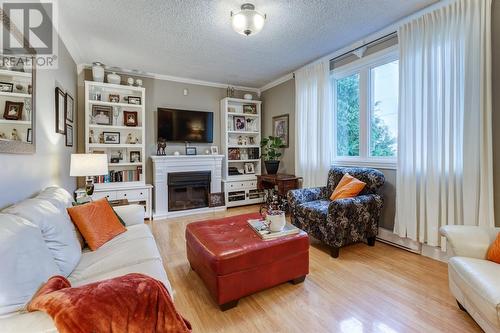 12 Crosbie Road, Harbour Grace, NL - Indoor Photo Showing Living Room With Fireplace