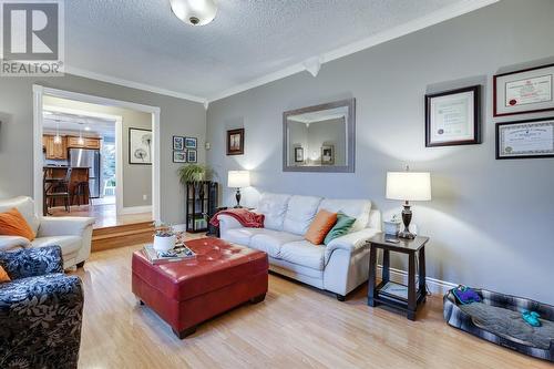 12 Crosbie Road, Harbour Grace, NL - Indoor Photo Showing Living Room