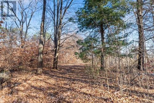 1940 Wagg Road, Niagara-On-The-Lake (102 - Lakeshore), ON - Outdoor With View