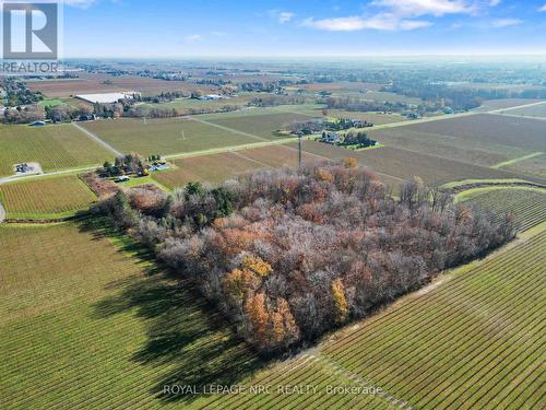 1940 Wagg Road, Niagara-On-The-Lake (102 - Lakeshore), ON - Outdoor With View