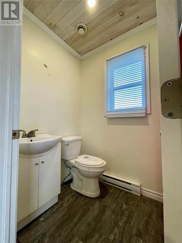 40 Hawco’S Crescent, Chapel’S Cove, NL - Indoor Photo Showing Bathroom