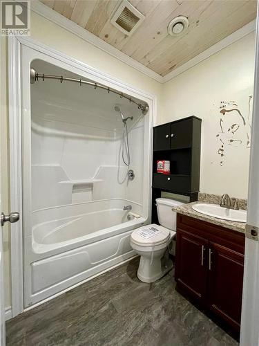 40 Hawco’S Crescent, Chapel’S Cove, NL - Indoor Photo Showing Bathroom