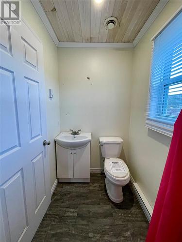 40 Hawco’S Crescent, Chapel’S Cove, NL - Indoor Photo Showing Bathroom