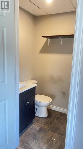 40 Hawco’S Crescent, Chapel’S Cove, NL - Indoor Photo Showing Bathroom