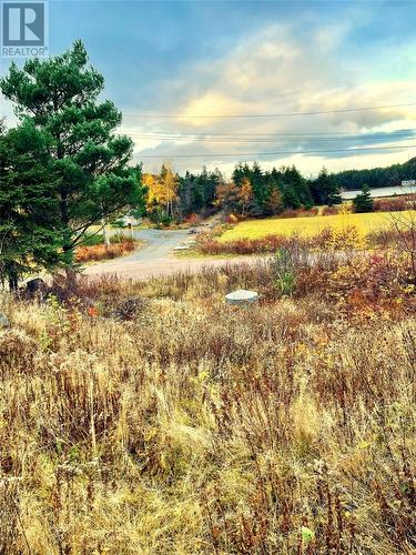 40 Hawco’S Crescent, Chapel’S Cove, NL - Outdoor With View