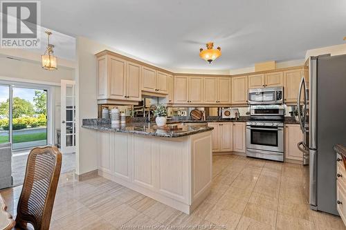 4789 Riverside Drive East Unit# 101, Windsor, ON - Indoor Photo Showing Kitchen With Upgraded Kitchen